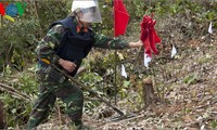 Vietnam, Australia deal with bombs and mines 