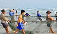 Da Nang: gifts presented to ship owners and fishermen