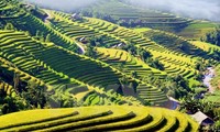 Forbes names northern Vietnam as world top budget travel destination