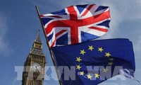 UK cabinet backs draft Brexit agreement