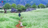 A visit to Ang village and Doi cave in Moc Chau, Son La