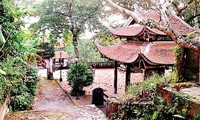 Doi Son pagoda, a Buddhist center in northern Vietnam