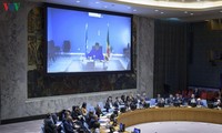 Vietnamese Ambassador presides over UNSC meeting on Mali