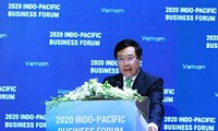 Important deals adopted at Indo-Pacific Business Forum 2020