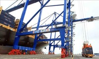 Hai Phong Port handles 42 ships during Tet break