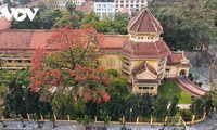 Bombax ceiba blossoms come out throughout Hanoi in March