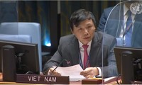 Vietnam calls for ceasefire in Afghanistan