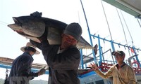 Tuna industry grows 16% in 2021