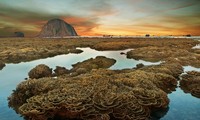 Beauty along the coast of Phu Yen