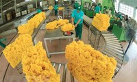 Vietnam-Australia trade grows steadily