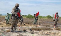 USA starten ein Projekt zur Bodenbereinigung in Da Nang