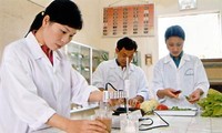 Konferenz der jungen vietnamesischen Natur- und Technologie- Wissenschaftler 