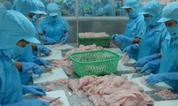 Absurde Dumpingpreiszölle der USA gegen Pangasius aus Vietnam