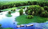 Nationalpark Ca Mau ist als Welt-Ramsar-Gebiet anerkannt