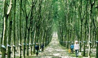 Änderung in der Heimat der Minderheitsvölker in Binh Phuoc