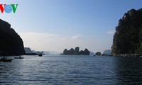 Cua Van, Vung Vieng - Dörfer auf dem Meer