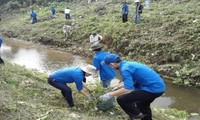 Da Nang begeht die “Woche des Insel- und Meeresgebiets Vietnams”