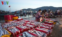 Lebendige Atmosphäre beim Hafen Tho Quang der zentralvietnamesischen Stadt Da Nang