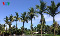 Obstgarten aus Südvietnam in Hawaii