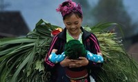 Preisverleihung des Fotowettbewerbs der Presse zum Thema “Land und Leute”