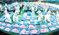 23 Pangasius-Unternehmen aus Vietnam erfüllen Kriterien des Exports in die USA