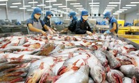 Aufhebung der Kontrolle für vietnamesischen Pangasius ist eine richtige Entscheidung der USA