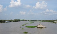 Weltbank hilft Vietnam bei der Anpassung an den Klimawandel 