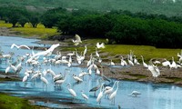 Nationalpark Xuan Thuy - Treffpunkt der Tierwelt