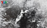 Treffen des Vietnam-USA-Verbandes und Organisation der US-Veteranen in Vietnam