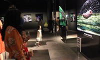 Fotoausstellung „Entdeckung der Insektenvielfalt in Vietnam“