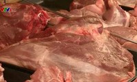 Landwirtschaftsministerium fordert Unternehmen auf, die Preise von Schweinefleisch zu senken