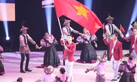 Verschiebung der Olympischen Sommerspielen 2020: Vor - und Nachteile für den vietnamesischen Sport