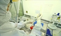 Zwei weitere Todesfälle wegen Covid-19-Epidemie und schwerer Vorerkrankungen