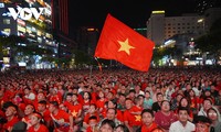 Vietnamesische Nationalflagge aus der Zeit des Nam Ky-Aufstands