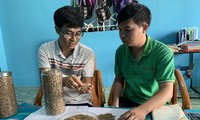 Die Volksgruppe der Bahnar in Gia Lai produziert Kaffee nach Exportstandards