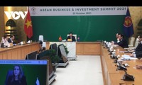 Vietnam zeigt Bereitschaft für Zusammenarbeit zur Verbindung von digitaler Infrastruktur