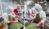 Vietnam und OECD  bauen den Berichtsentwurf über vietnamesische Wirtschaft auf