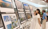 Ausstellung über APEC-Park in Da Nang