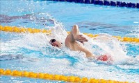 30 Mitglieder der vietnamesischen Schwimmmannschaft für SEA Games 32  einberufen