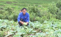 Jugendliche in Lao Cai nutzen Vorteile der Gegend für Existenzgründung 