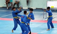 Verband für Vovinam Hanoi will Aktivitäten professionalisieren