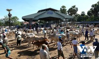 Rindermarkt Ta Ngao in der Provinz An Giang