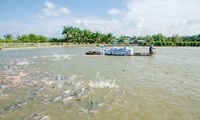 Vietnam targets 9 billion USD in seafood export by 2020 