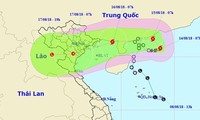 Storm Bebinca likely to affect Vietnam Airlines flights 