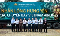 Vietnam Airlines to serve fresh longan  