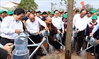 Vietnam aims to become a leading exporter of planted wood within next decade