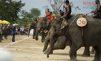 Elephant race draws huge crowds to Central Highlands district 