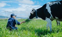 Vietnamese dairy industry targets 1 billion litres in 2020