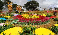 2019 Da Lat Flower Festival kicks off