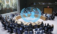 Vietnam officially becomes non-permanent UNSC member 